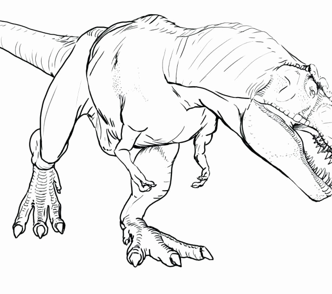 678x600 Spinosaurus Coloring Page Photos Spinosaurus Coloring Spinosaurus