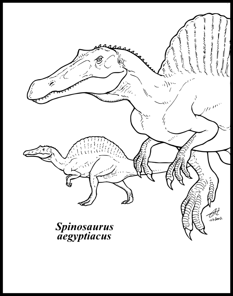 800x1016 Spinosaurus Coloring Page Wistful Me Also Pages