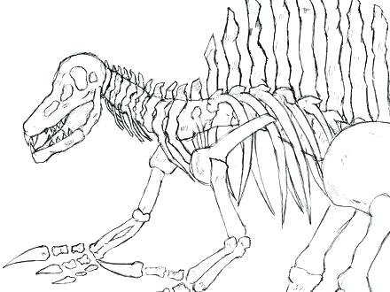 440x330 Spinosaurus Coloring Pages Coloring Page Top Rated Coloring Pages