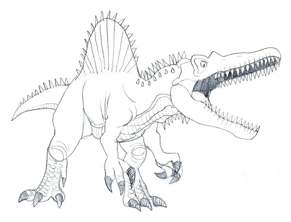 600x458 Spinosaurus Coloring Pages Coloring Pages Spinosaurus Coloring