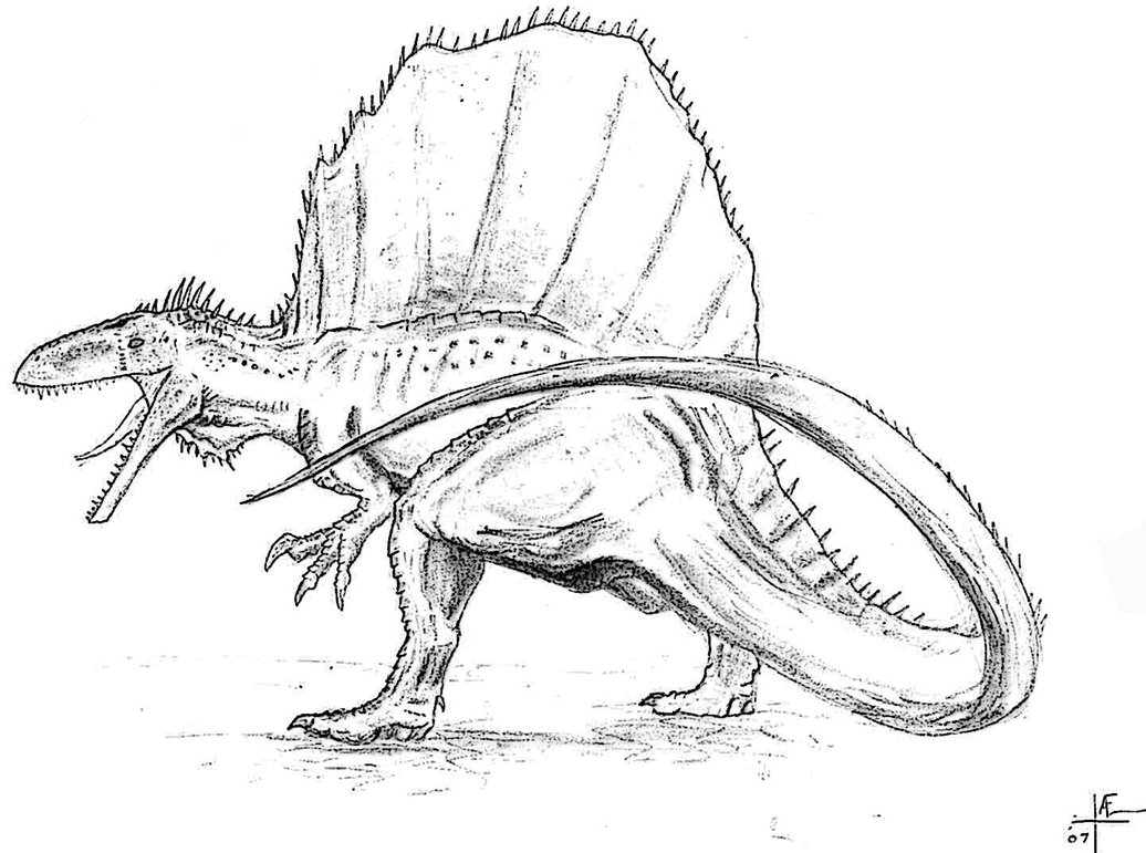 1036x771 Spinosaurus Drawing And Dinosaur Coloring Pages For Inside