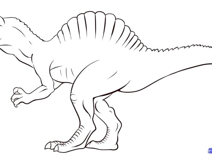 678x504 Spinosaurus Para Colorear Coloring Coloring Pages Vs T Coloring