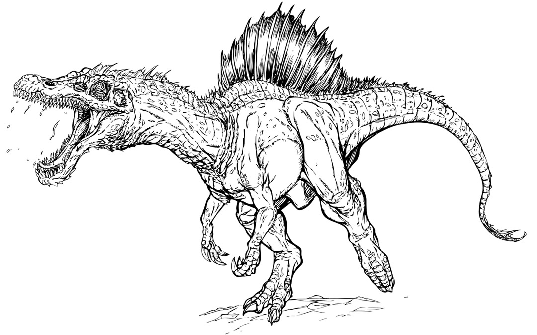 1080x674 Drawing Cartoon Spinosaurus Coloring Pages