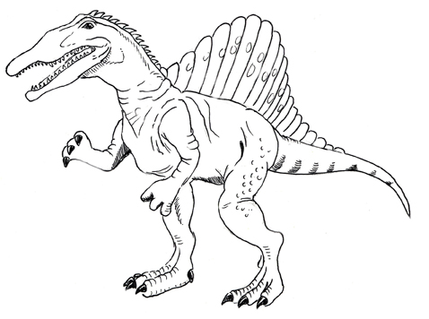 478x356 Drawing Spinosaurus Coloring Pages