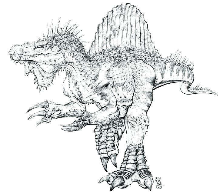 736x640 Pictures To Print Also Pictures To Print Realistic Spinosaurus
