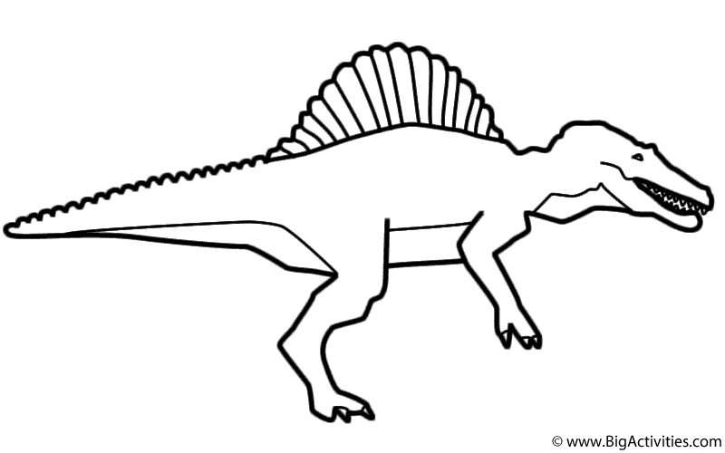 800x500 Spinosaurus Pictures To Print Free