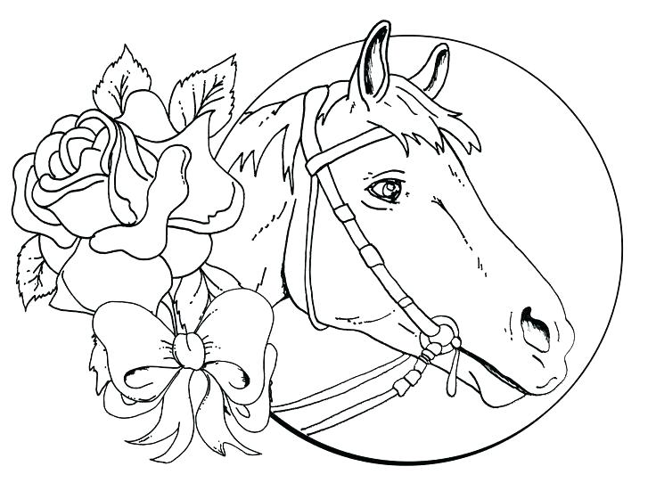 736x551 Spirit Horse Coloring Pages Horse Coloring Sheets Together