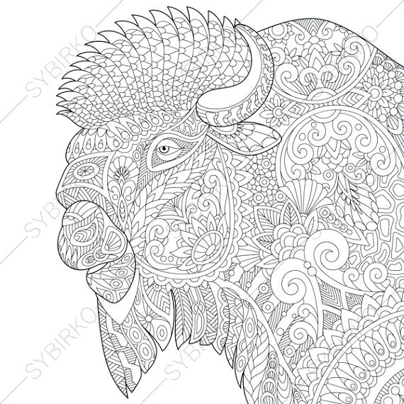 570x570 Animal Print Stationery Coloring Page Wild And Free Spirit Animals