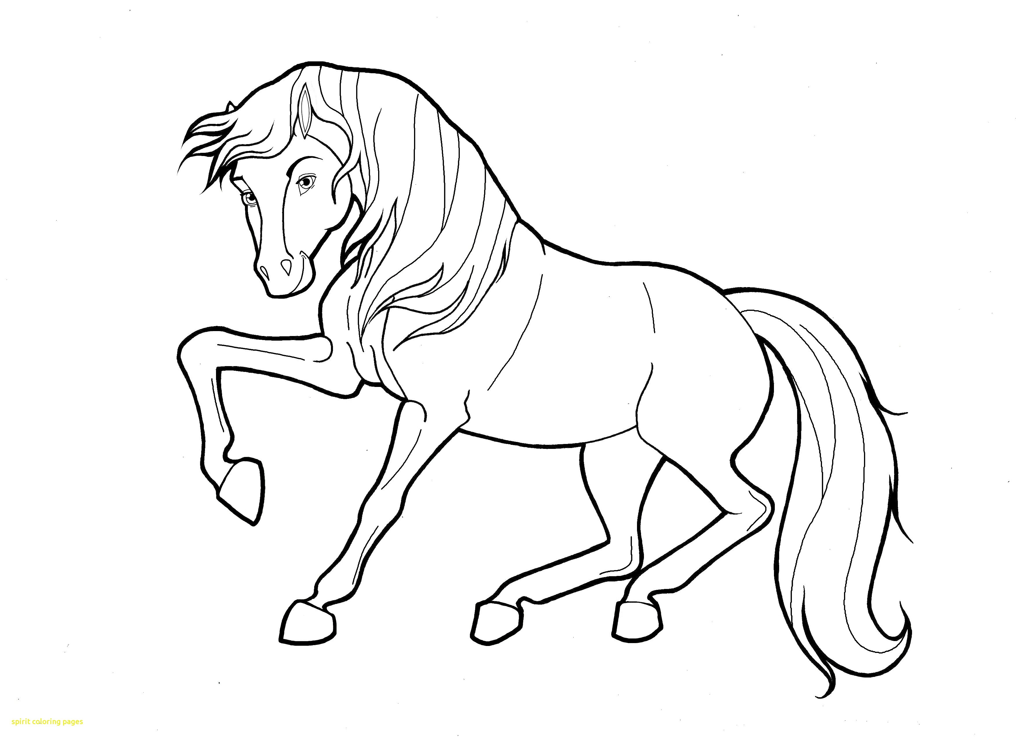 3509x2550 Spirit Coloring Pages Spirit Horse Coloring Pages 27 For