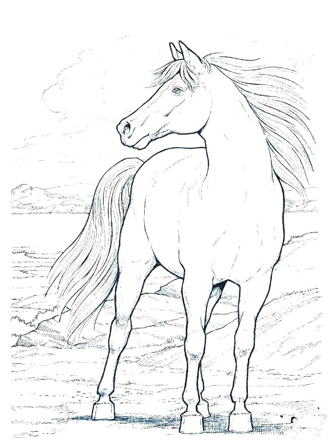 660x880 Barbie Horse Coloring Pages Horse Coloring Games Horse Coloring