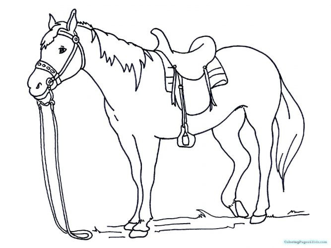 667x500 16 Best Of Images Of Spirit Riding Free Coloring Pages Free