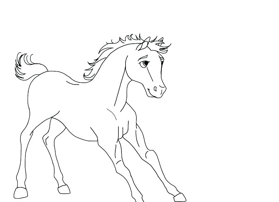 900x652 Fancy Spirit Stallion Of The Coloring Pages Foal Cimarron Sheets
