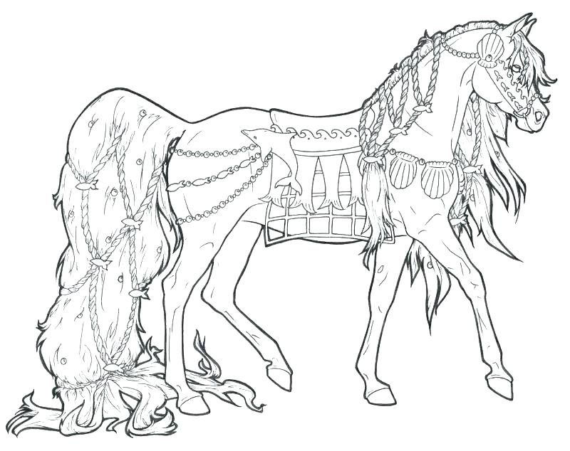 800x634 Free Coloring Pages Horses Spirit Horse Coloring Pages Wild Horse