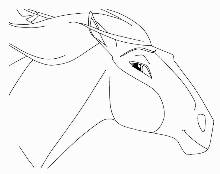 904x715 Spirit Stallion Of The Cimarron Coloring Pages Horses
