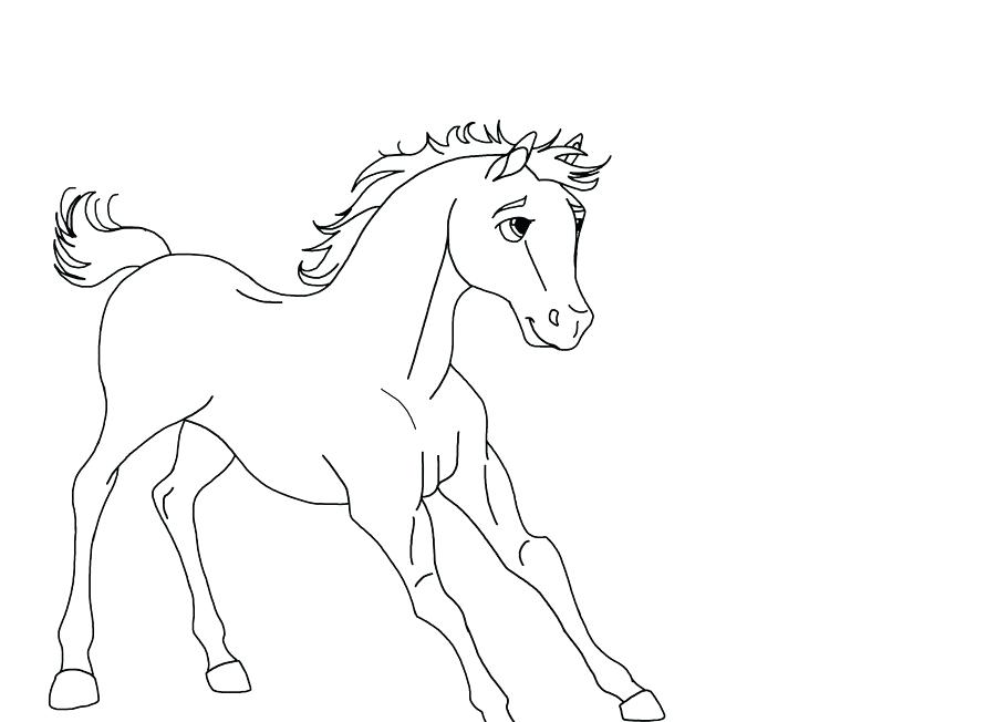 900x652 Spirit Stallion Of The Cimarron Coloring Pages New Spirit Stallion