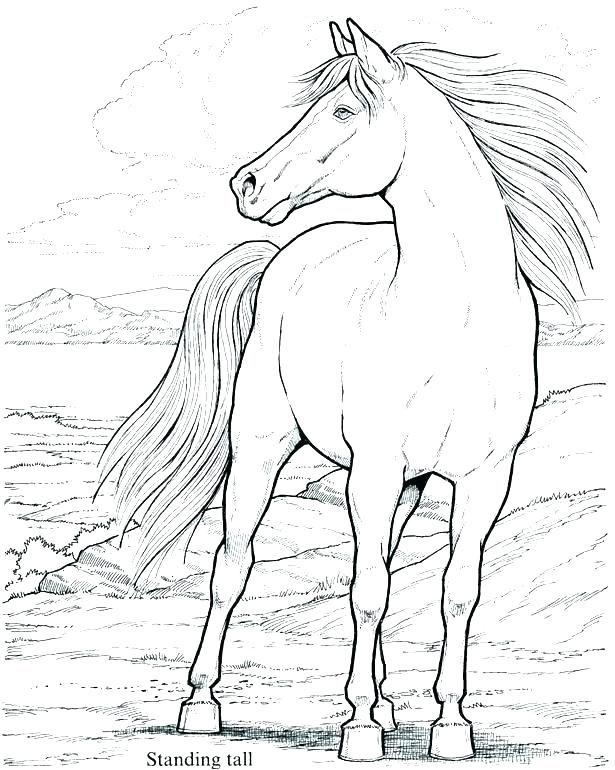 615x770 Spirit Stallion Of The Cimarron Coloring Pages Stallion Coloring
