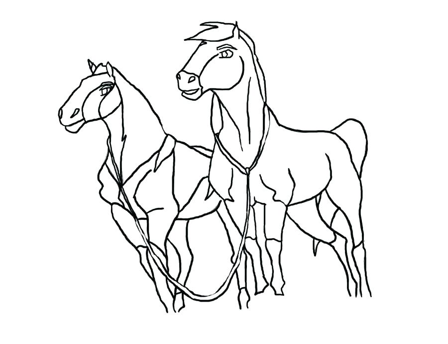 900x690 Stallion Coloring Pages Horse Horse Online Coloring Coloring Page