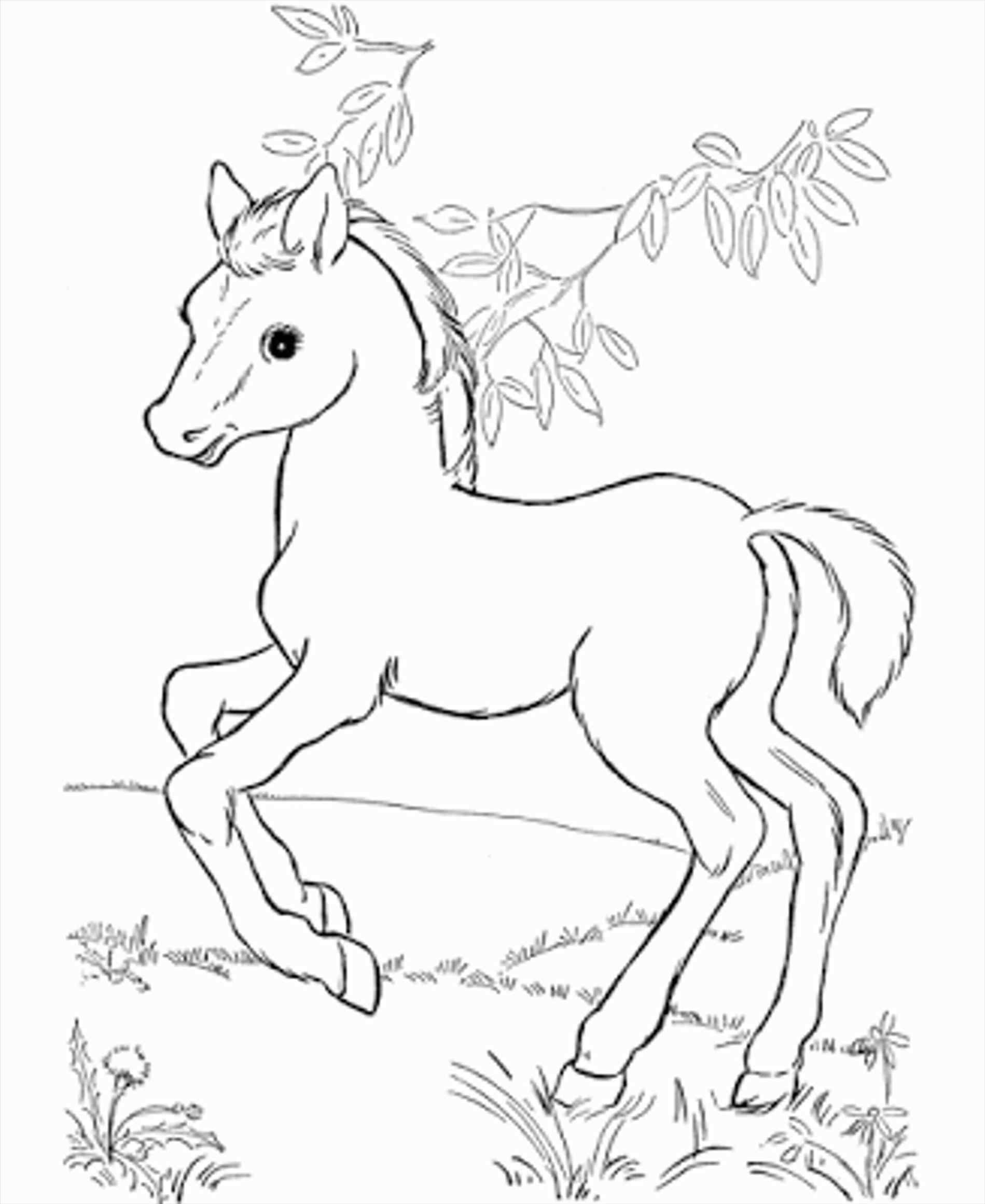 1899x2323 Beautiful Baby Spirit Coloring Pages Ideas Entry Level Resume