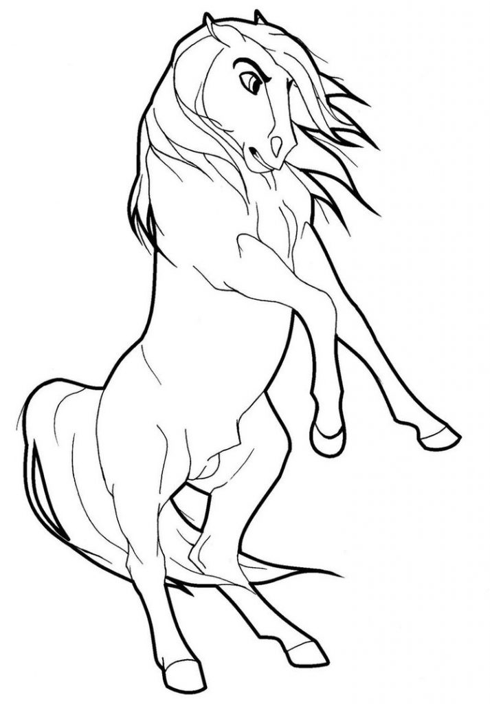 713x1024 Impressive Spirit Stallion Of The Cimarron Col