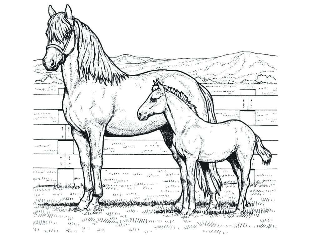 1024x768 Appealing Coloring Pages Of New In Line Drawings With For Spirit