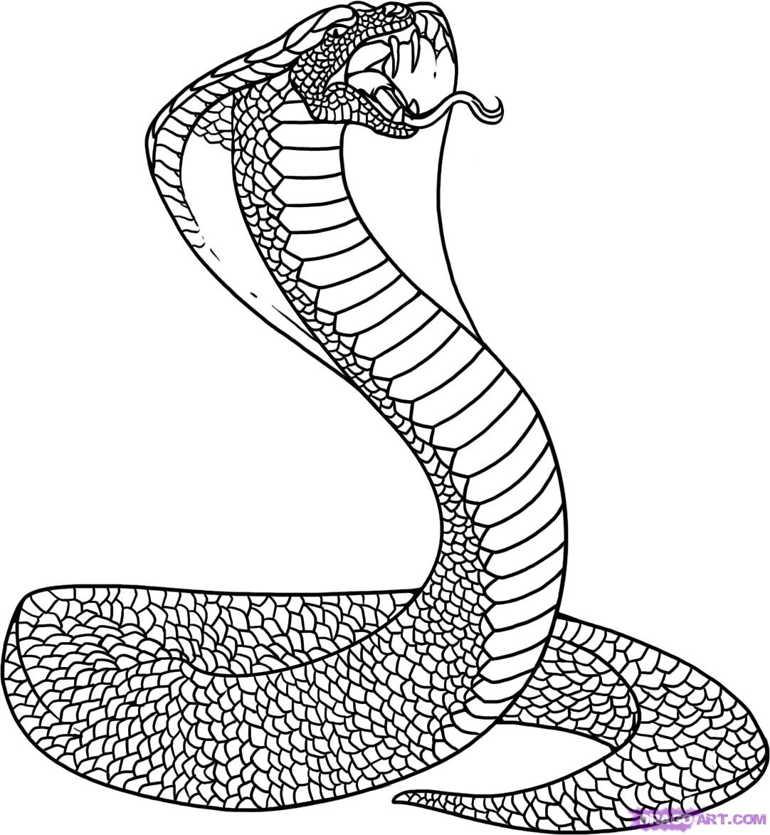 1082x1173 Coloring King Cobra Coloring Pages