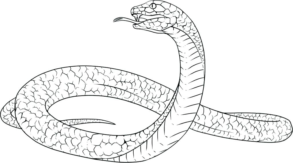 1024x570 Snakes Colouring Pages Clouded Snake Coloring Page Snakes Coloring