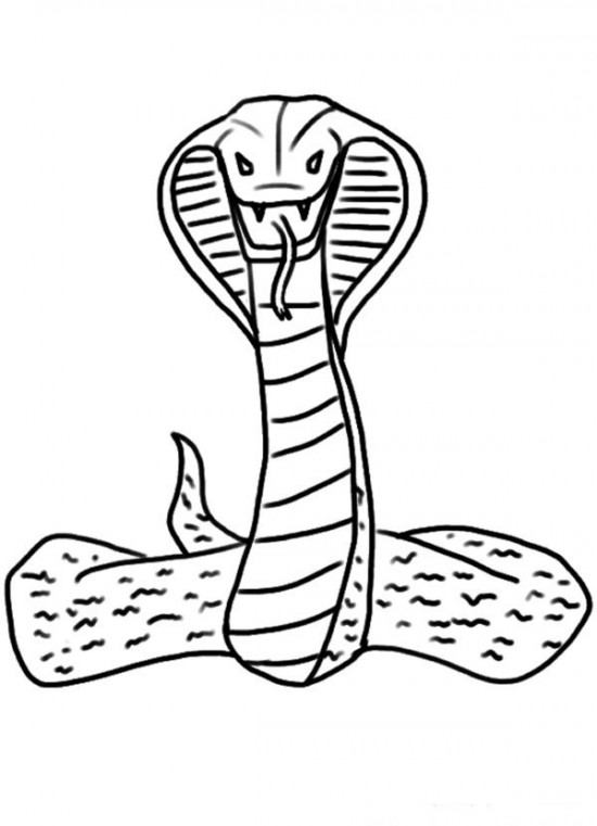 550x761 Spitting Cobra Coloring Pages