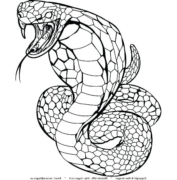 600x612 Cobra Coloring Page Cobra Bubbles Coloring Page Blocktradex.club