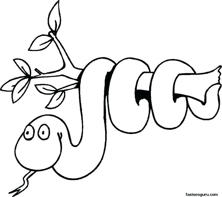 728x648 Printable Safari Animal Coloring Pages Color Mean Chart Splash
