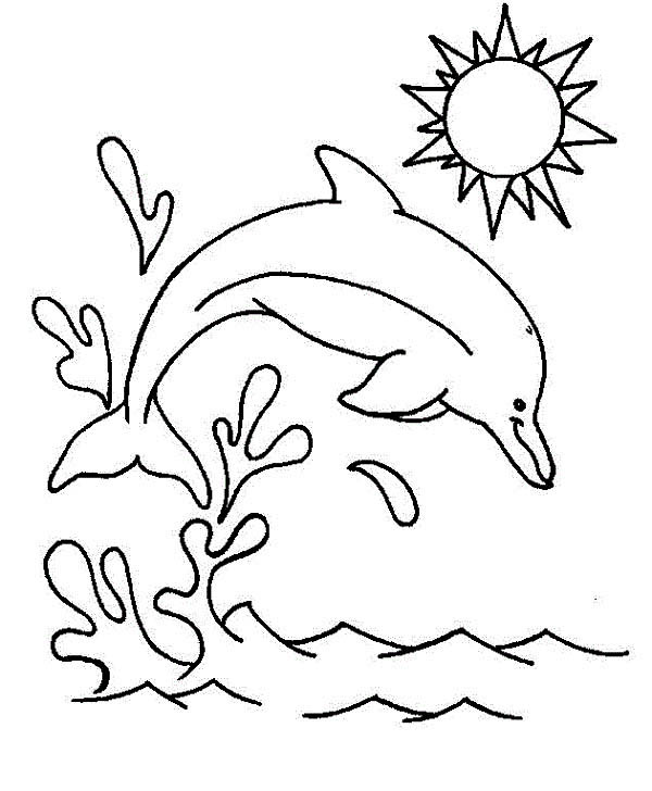 600x728 Dolphin Splash Jump In The Air Coloring Page