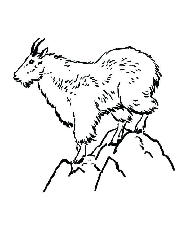 600x736 Mountain Coloring Page Picturesque Mountain Goat Coloring Pictures