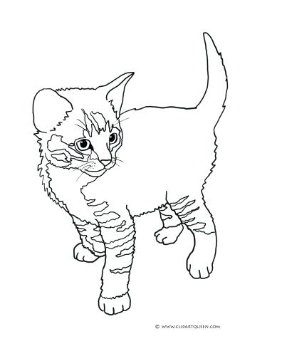 396x500 Splat The Cat Coloring Pages Medium Size Of Cats Coloring Pages