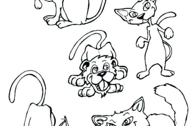 640x420 Splat The Cat Coloring Pages Splat The Cat Coloring Pages Cats