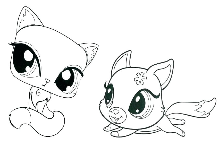 850x567 The Cat Sneaker Coloring Page Sheet Splat Pages Color By The Cat