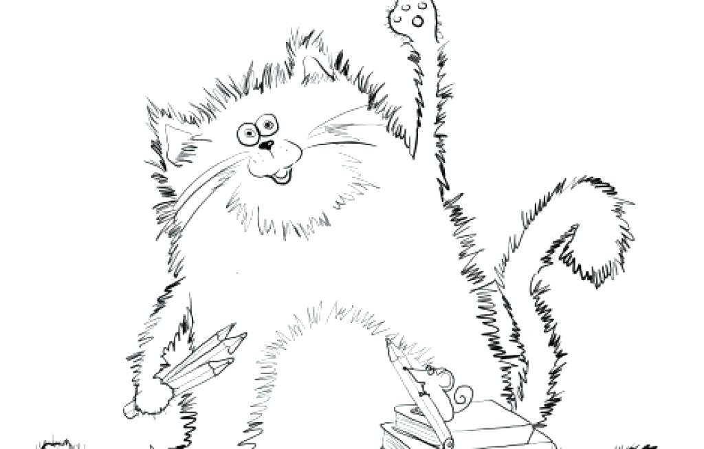 1024x653 Coloring Sheet Cat Cat Coloring Book Pages Cats Coloring Sheet Cat