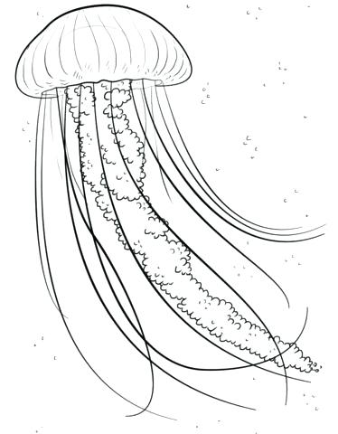 Spongebob Jellyfish Coloring Pages