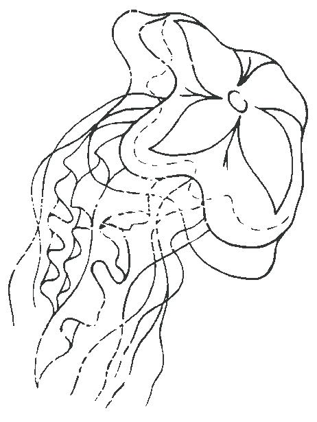 462x615 Jellyfish Coloring Lesson Kids Coloring Page Coloring Lesson