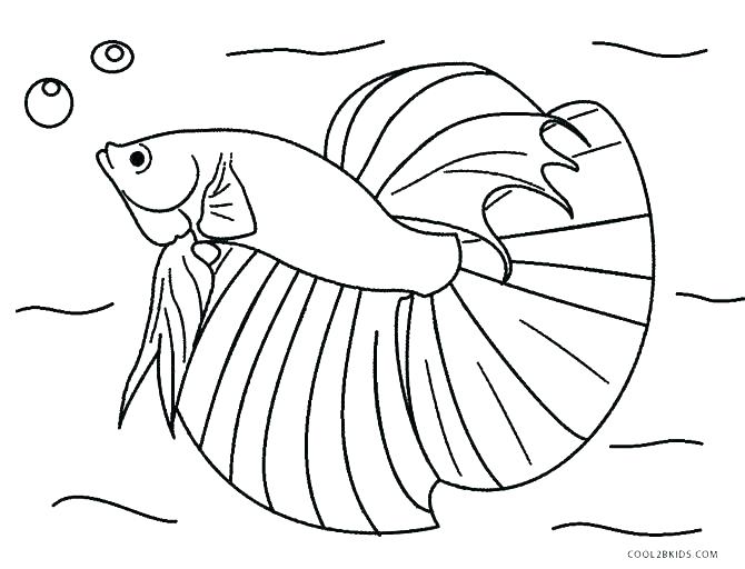 670x512 Jellyfish Coloring Page Coloring Page Fish Ocean Fish Coloring