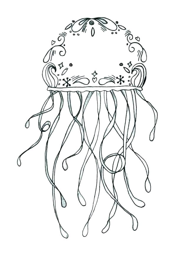 600x862 Jellyfish Coloring Page Coloring Pages Of Jellyfish Ideal