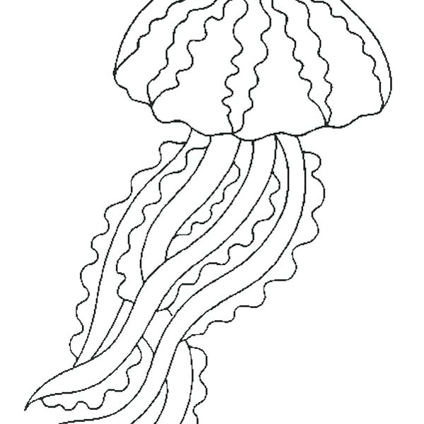 600x600 Jellyfish Coloring Page This Is The Cutest Jellyfish Coloring Page