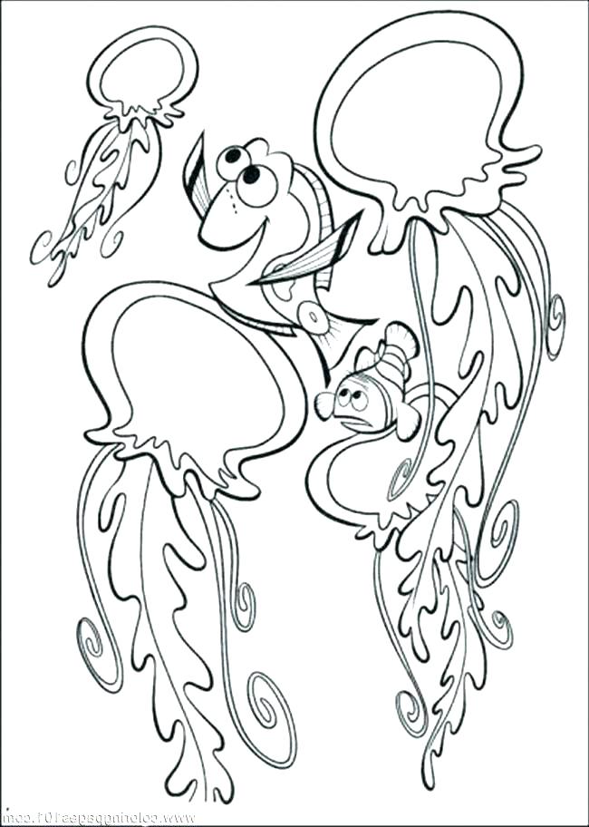650x912 Jellyfish Coloring Pages Image Of View Full Size More Cute