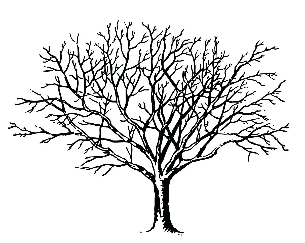 1212x967 Coloring Page Of Pumpkin Scary Halloween Tree Pages With Pumpkins
