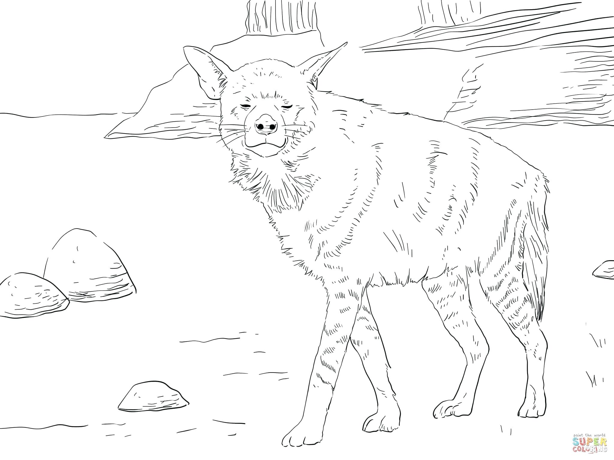 2048x1536 Hyena Coloring Pages Printable Coloring Pages