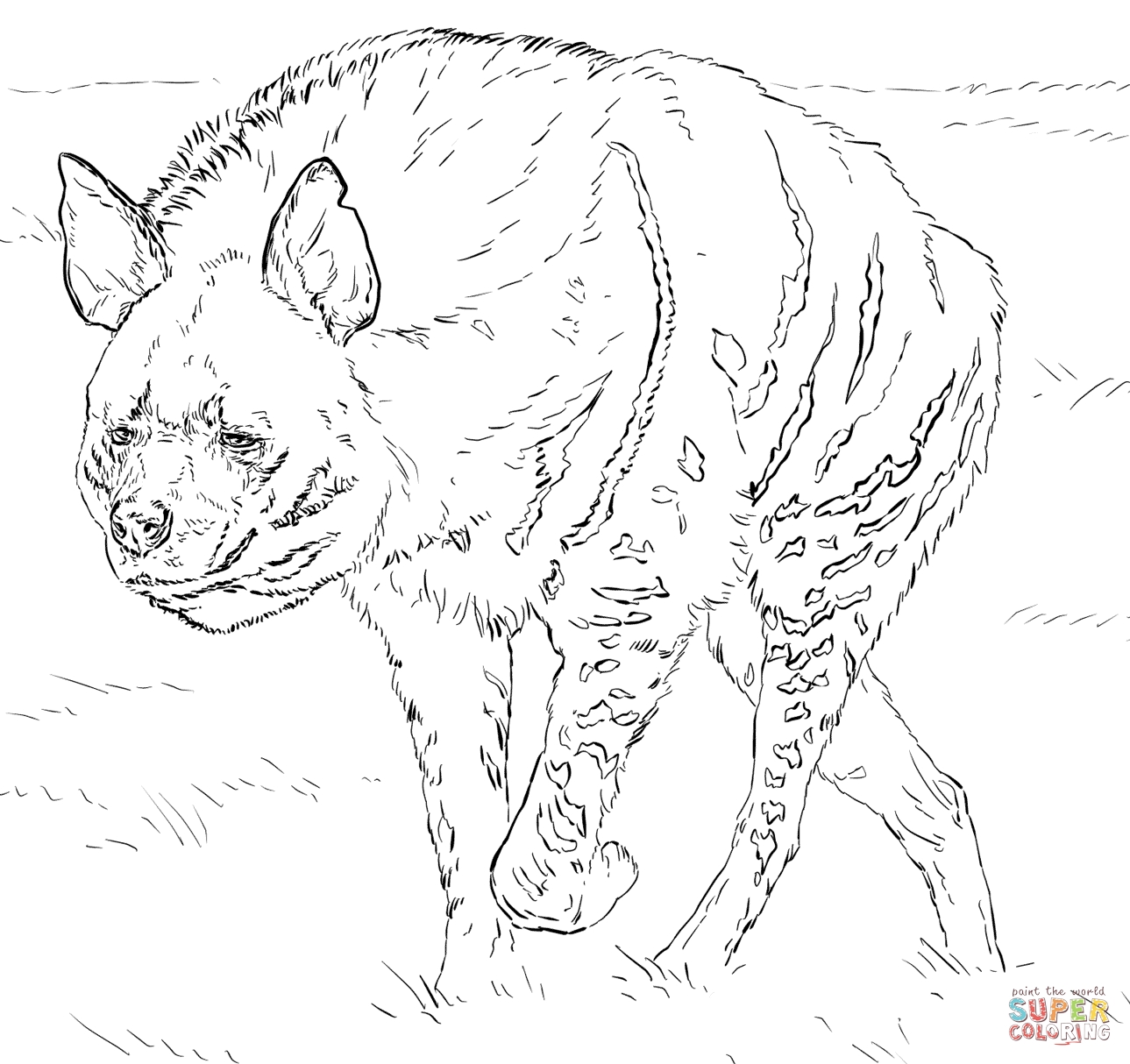 1289x1214 Spotted Hyena Coloring Page Free Printable Pages Unusual