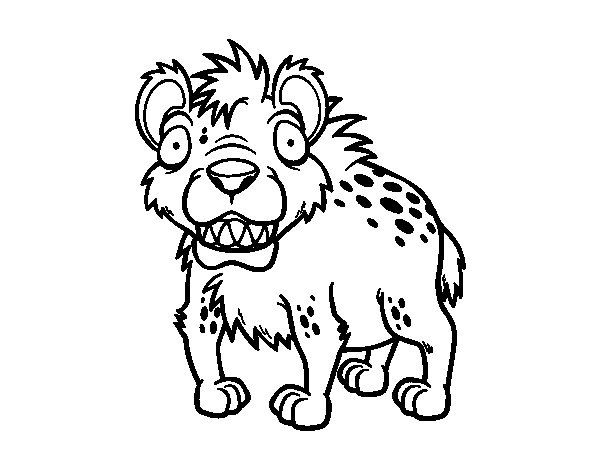 600x470 Spotted Hyena Coloring Page