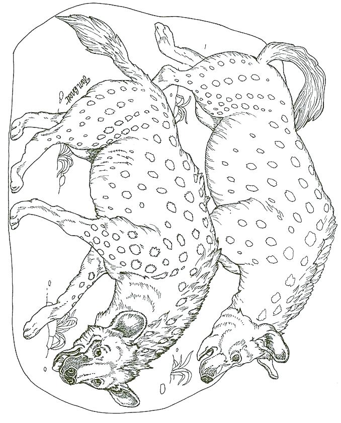 678x840 Hyena Coloring Page Brown Hyena Scary Coloring Pages Lion King