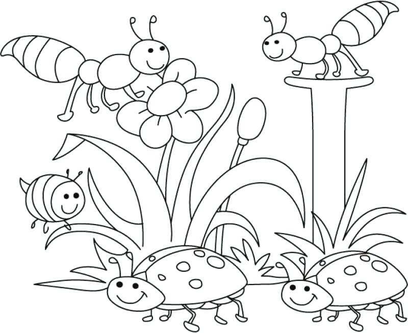 800x654 Idea Springtime Coloring Pages Or Sun Flower Coloring Sheet 63