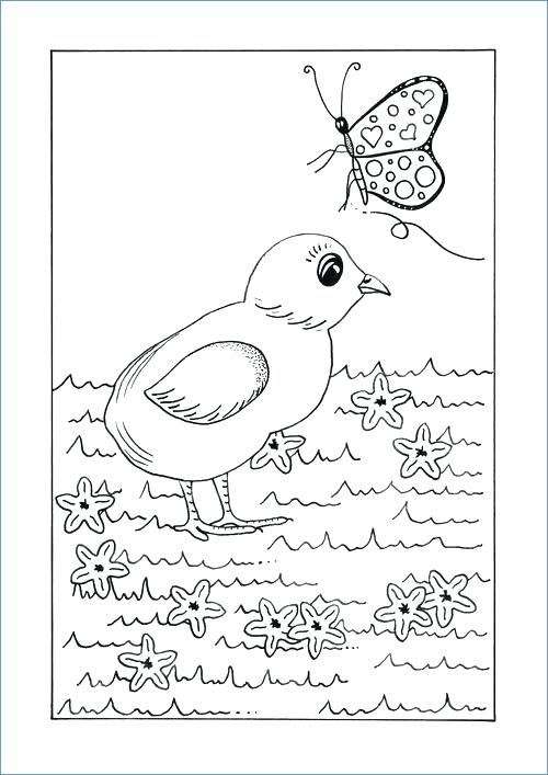 500x707 Spring Animal Coloring Pages Printable Animal Coloring Pages