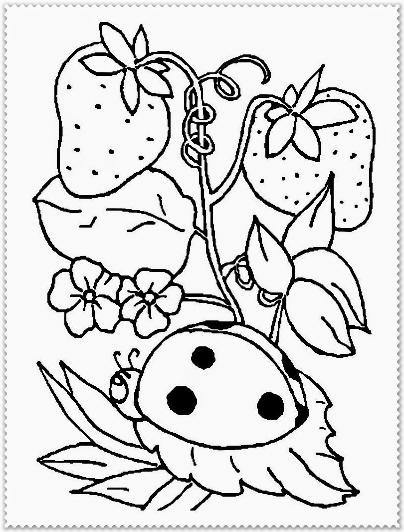 810x1066 Unbelievable Spring Animals Coloring Pages For Trend And Kids
