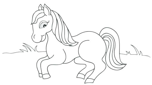 600x338 Animals Coloring Pages Sweet Looking Animals Coloring Pages Baby